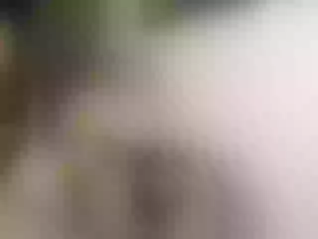 Live sex webcam photo for Aidan-twink #291046884