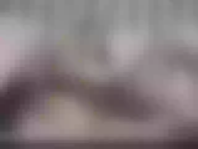 Live sex webcam photo for Aidasina #291087586