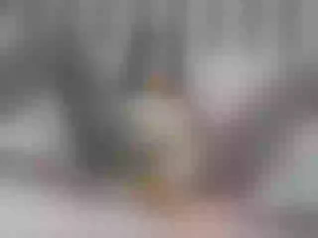 Live sex webcam photo for Aidasina #291368157