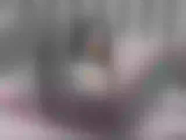 Live sex webcam photo for Aidasina #291408488