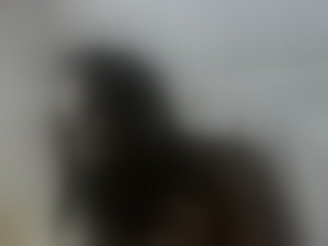 Live sex webcam photo for Aina9 #294297499