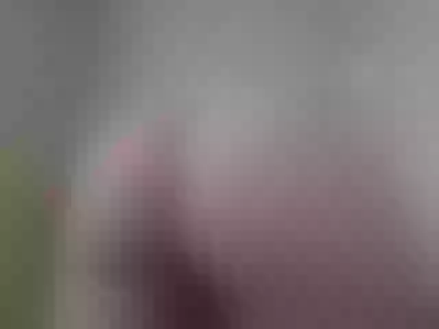 Live sex webcam photo for AishaRouhi #290599163