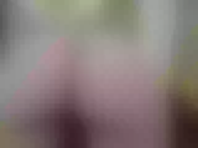 Live sex webcam photo for AishaRouhi #291258413
