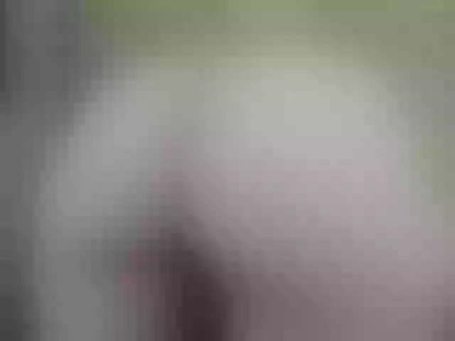 Live sex webcam photo for AishaRouhi #291527848