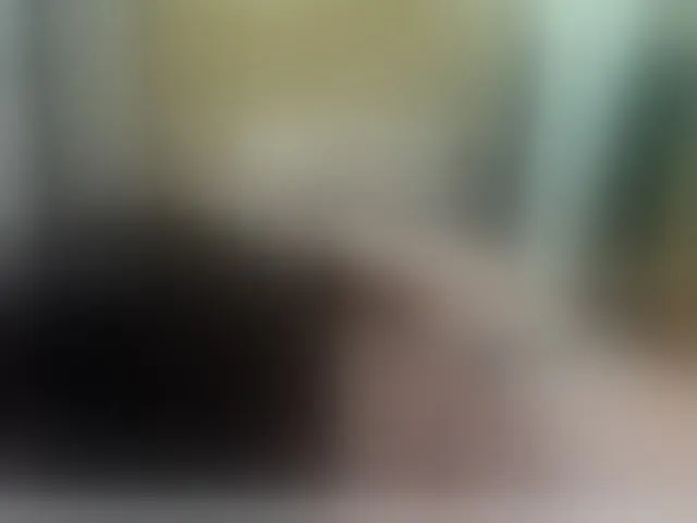 Live sex webcam photo for AishaRouhi #292519560