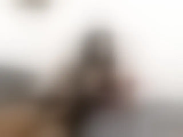 Live sex webcam photo for AithanaQueen #293965220