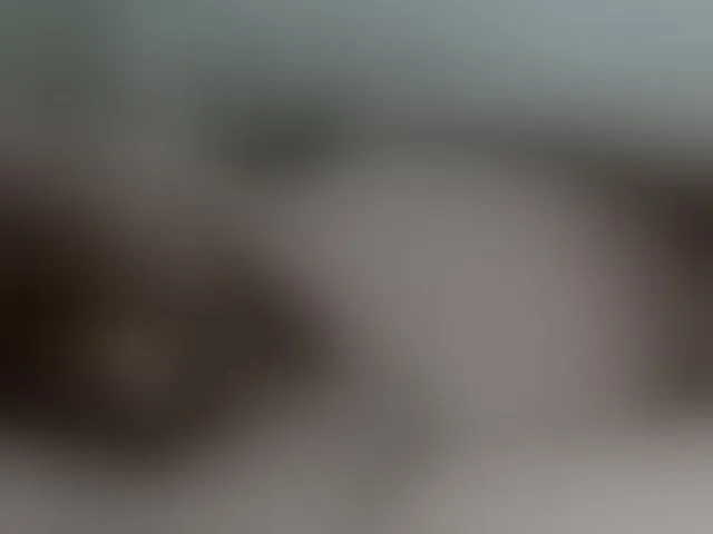 Live sex webcam photo for Akinouk #292591635