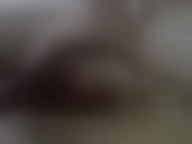 Live sex webcam photo for Akinouk #293391053