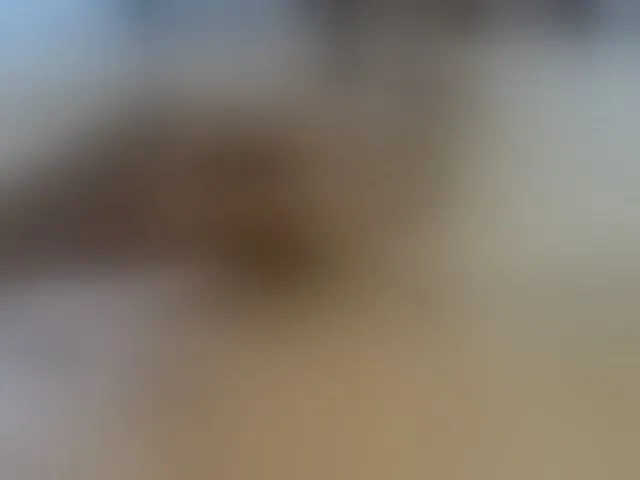 Live sex webcam photo for Akinouk #293805125