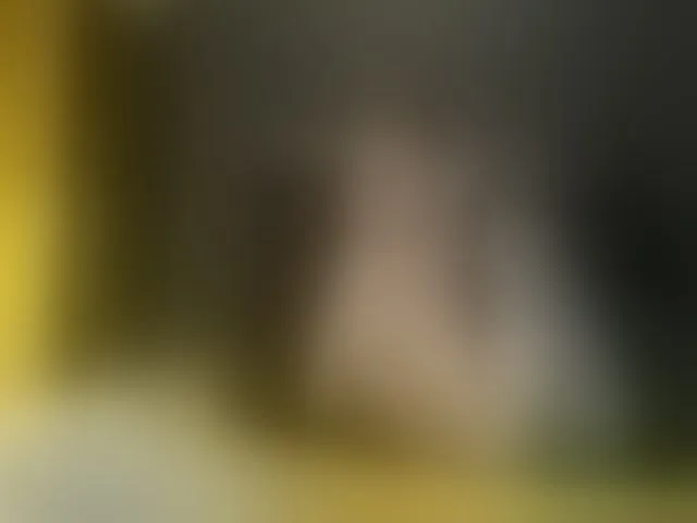 Live sex webcam photo for Akira-31 #293823668