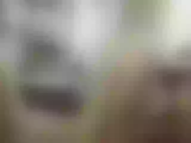 Live sex webcam photo for Alakey124 #273510982