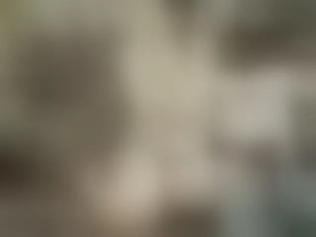 Live sex webcam photo for Alakey124 #277228320