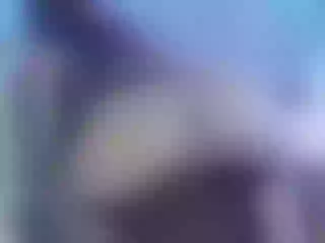 Live sex webcam photo for AlanaParker6 #291071553