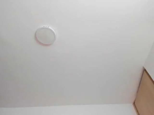 Live sex webcam photo for AlanaRouse1 #292366051