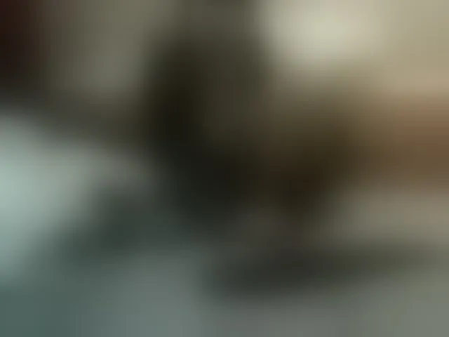Live sex webcam photo for AlanaXDream #292110731