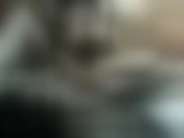 Live sex webcam photo for AlanaXDream #293768501