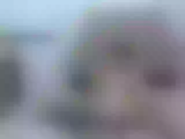 Live sex webcam photo for Alannasweety #271731053