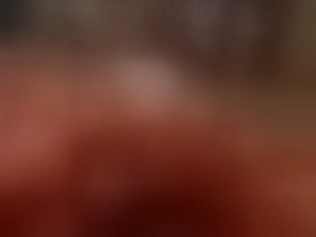 Live sex webcam photo for Albert69more #293826136