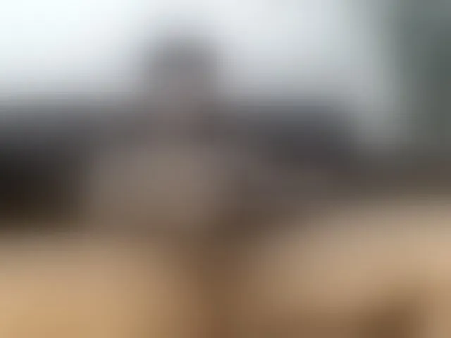 Live sex webcam photo for AlejandroCollins #277473013