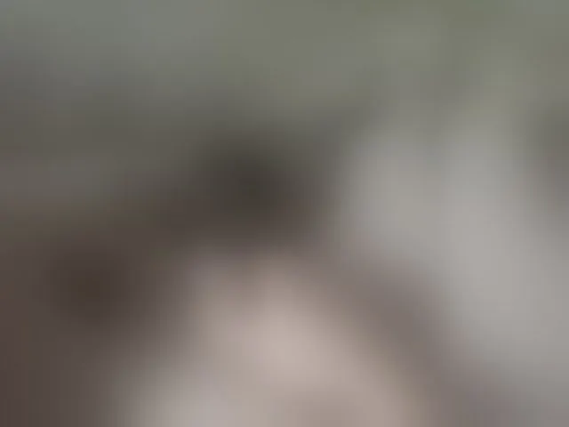 Live sex webcam photo for Aleks52aa #291371003