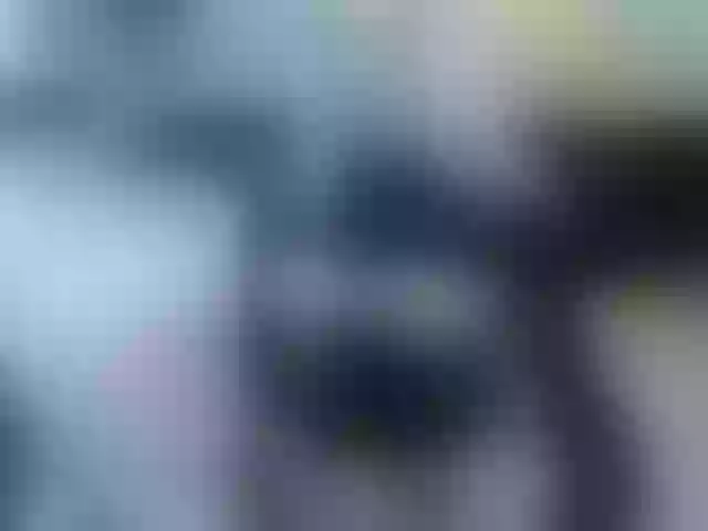Live sex webcam photo for AlenaRios #292261515