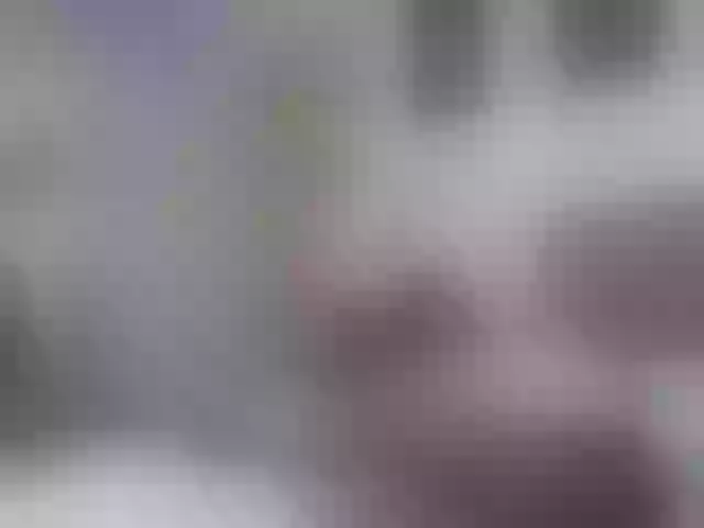 Live sex webcam photo for Alenaa #290749256