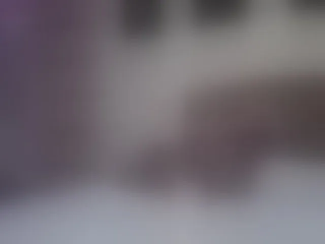 Live sex webcam photo for Alenaa #292508246