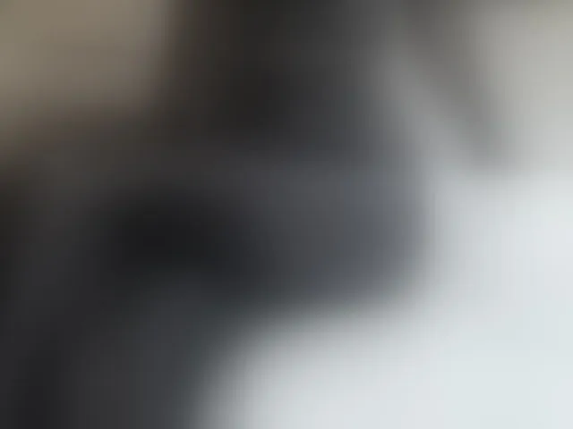 Live sex webcam photo for Alenaa #293470943