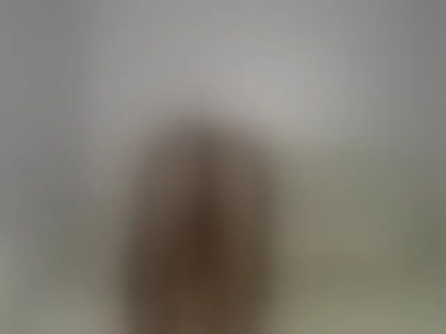 Live sex webcam photo for Alenkahot #293070647