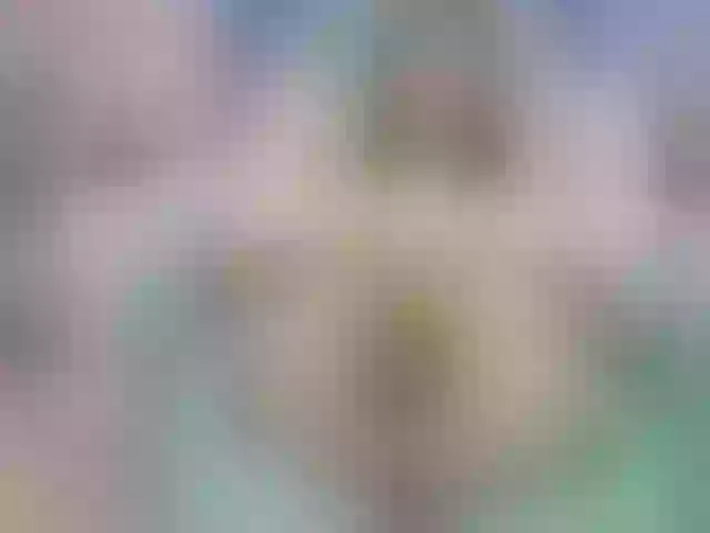 Live sex webcam photo for Alesya- #291599414