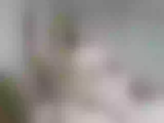 Live sex webcam photo for AlevtinnA #272633386