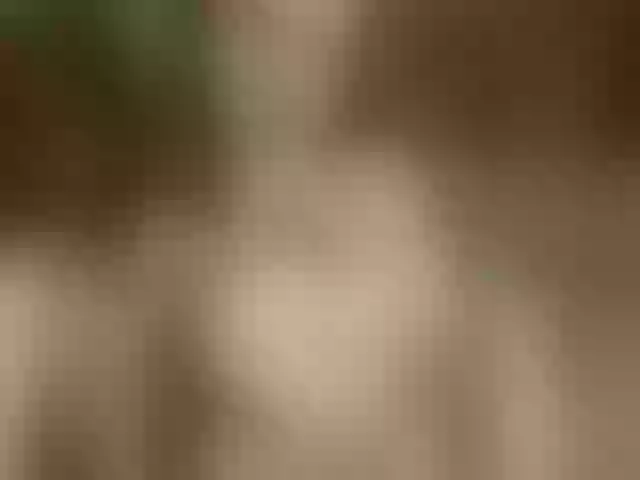 Live sex webcam photo for AlevtinnA #272908992