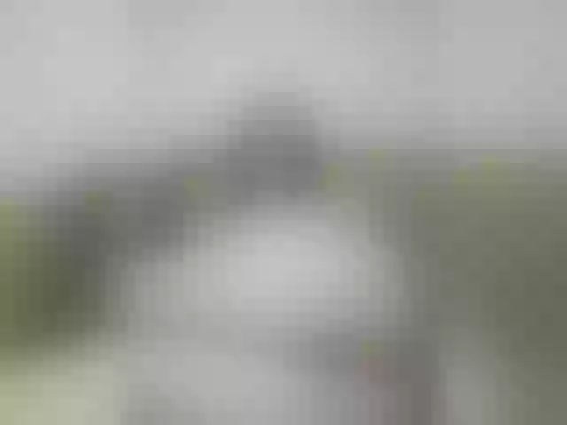 Live sex webcam photo for AlevtinnA #273004639