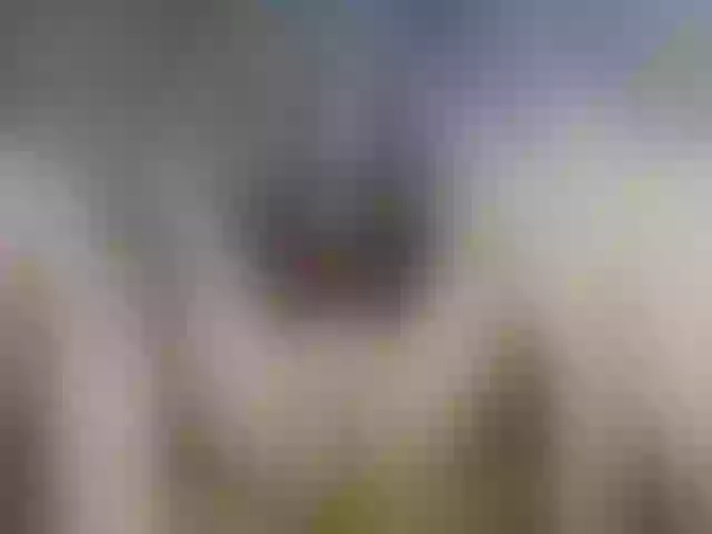 Live sex webcam photo for AlevtinnA #273284505