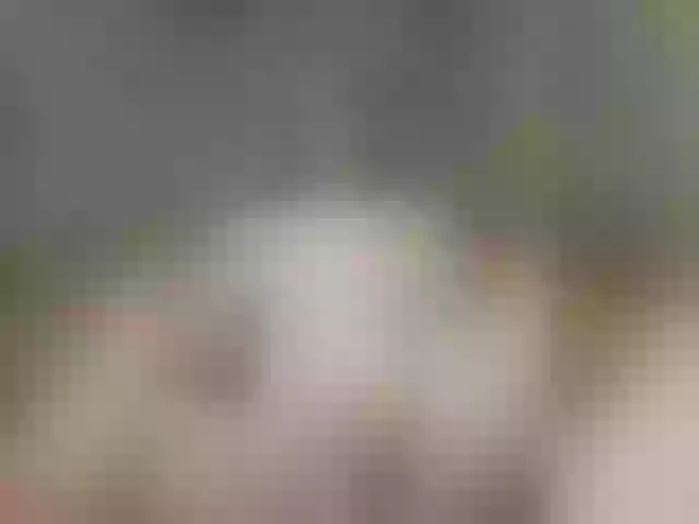 Live sex webcam photo for AlevtinnA #273339741