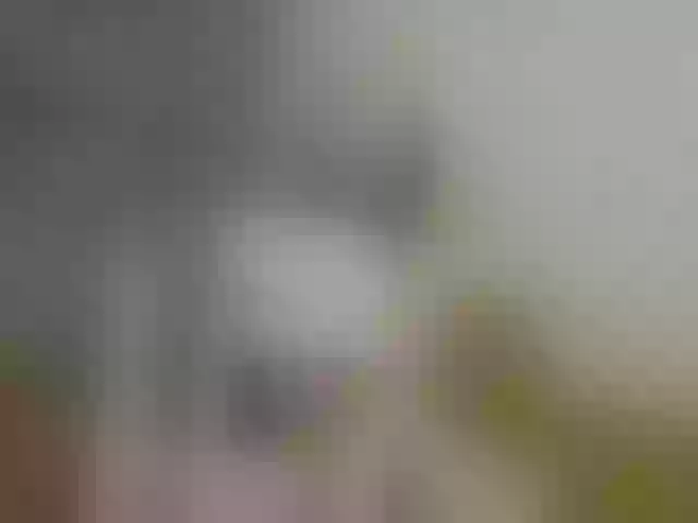 Live sex webcam photo for AlevtinnA #273495752
