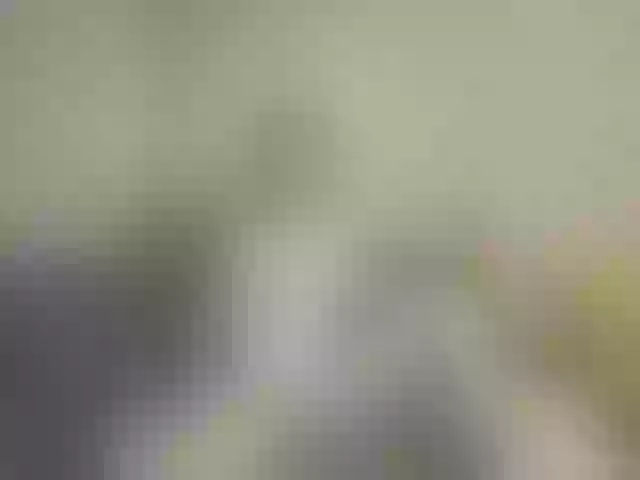 Live sex webcam photo for AlevtinnA #276412290