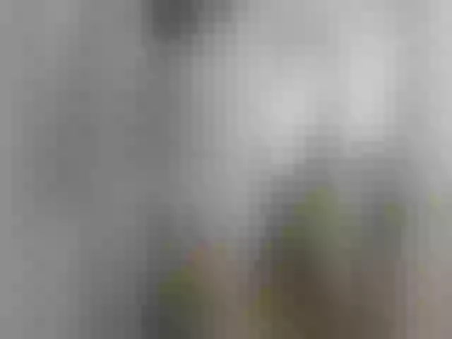 Live sex webcam photo for AlevtinnA #278301981