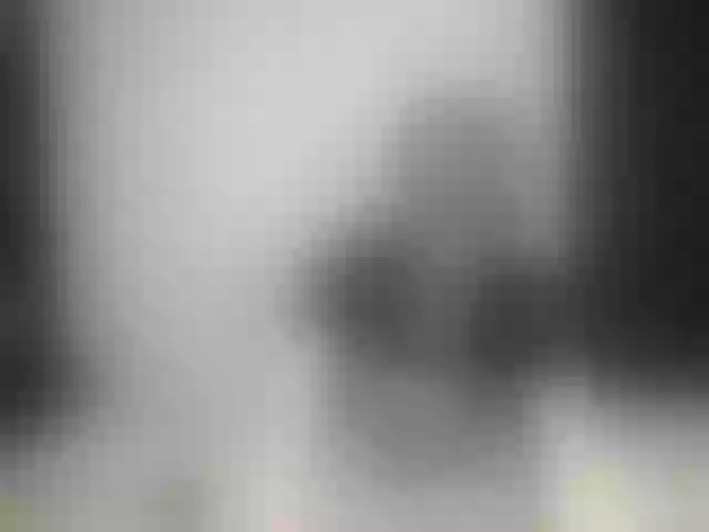 Live sex webcam photo for Alex-foxy #291734638
