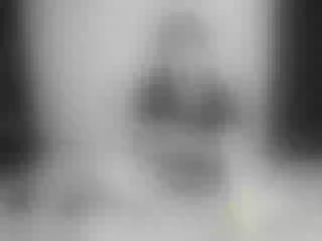 Live sex webcam photo for Alex-foxy #291867681