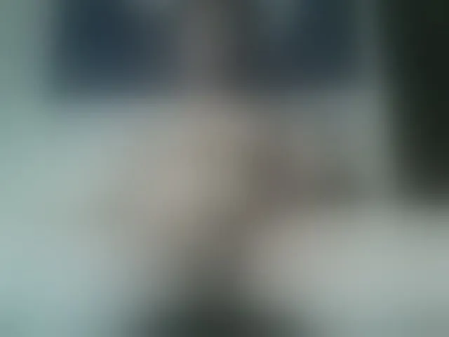 Live sex webcam photo for Alex1985orbit #293578027