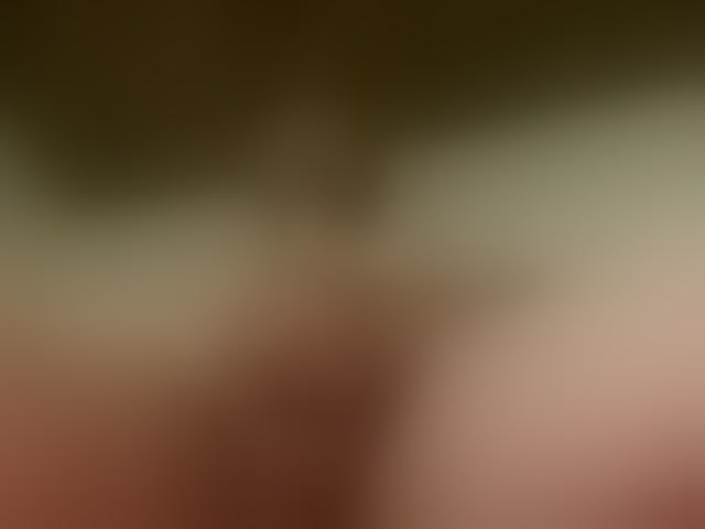 Live sex webcam photo for Alex1985orbit #293951498