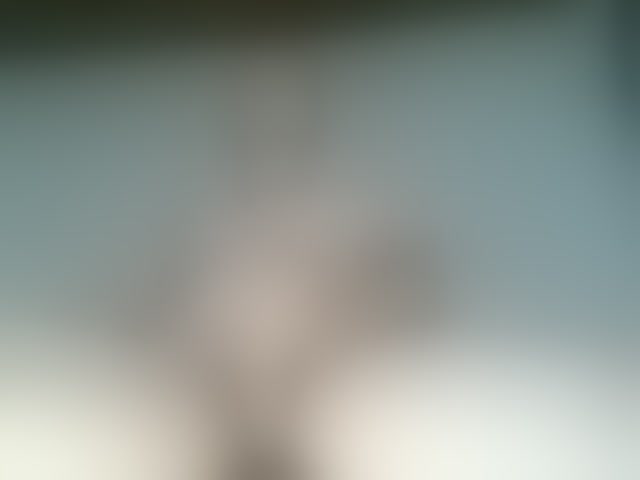 Live sex webcam photo for Alex1985orbit #294009926