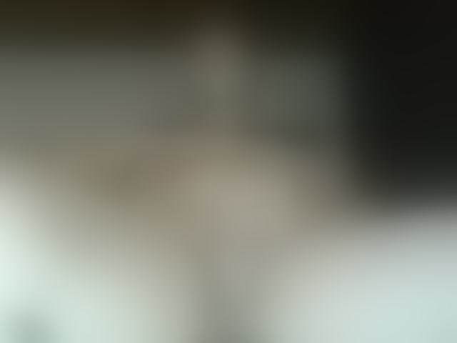 Live sex webcam photo for Alex1985orbit #294019686