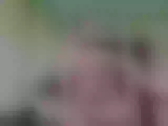 Live sex webcam photo for Alex19901990 #291525832