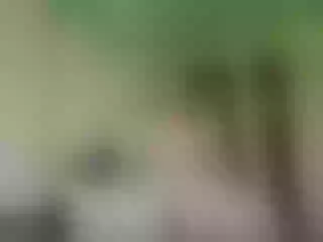 Live sex webcam photo for Alex19901990 #291693682