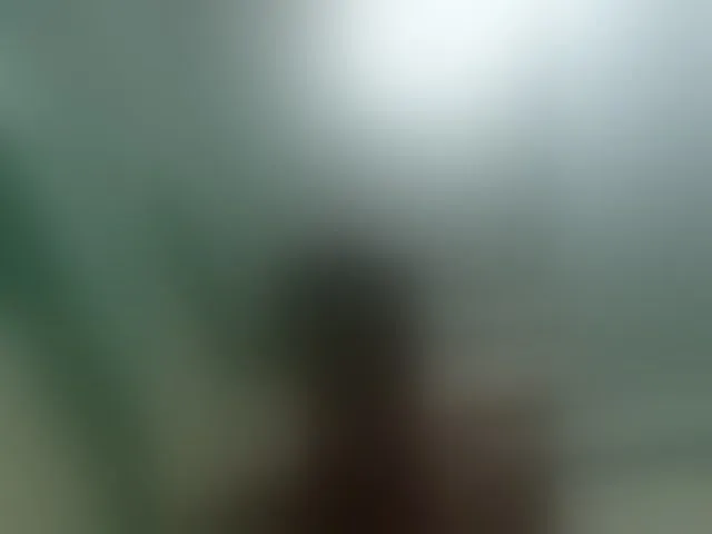 Live sex webcam photo for Alex19901990 #293877867