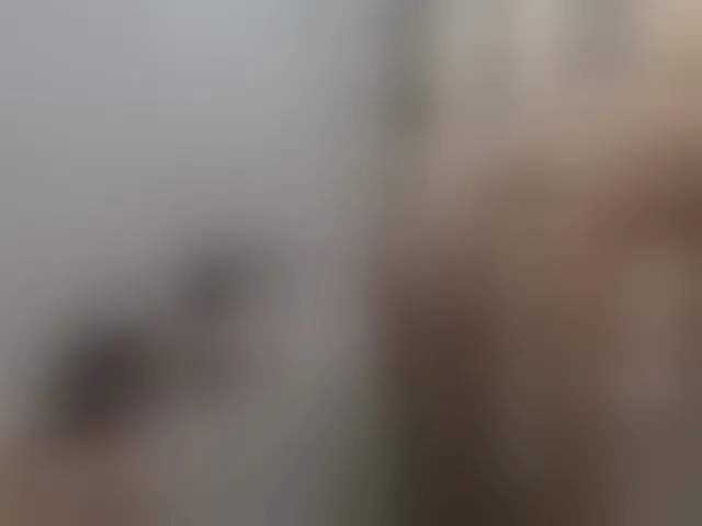 Live sex webcam photo for Alex80-201 #292340054