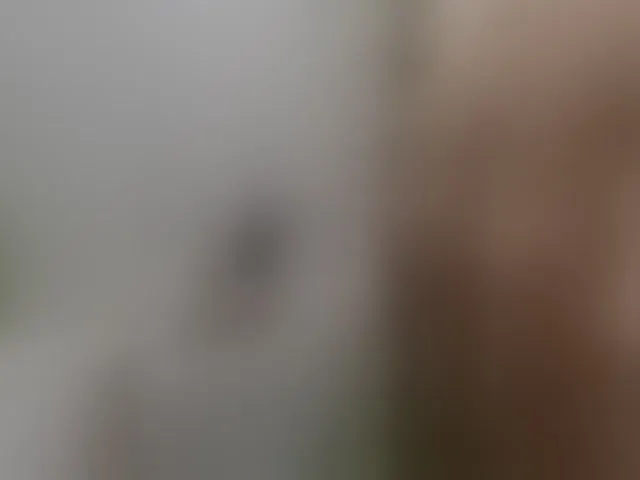 Live sex webcam photo for Alex80-201 #292453598