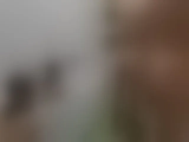 Live sex webcam photo for Alex80-201 #292525771